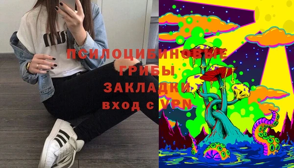 индика Алзамай