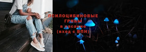 ГАЛЛЮЦИНОГЕННЫЕ ГРИБЫ Абаза