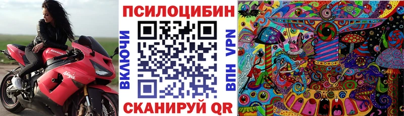Галлюциногенные грибы GOLDEN TEACHER  купить наркотики цена  Княгинино 